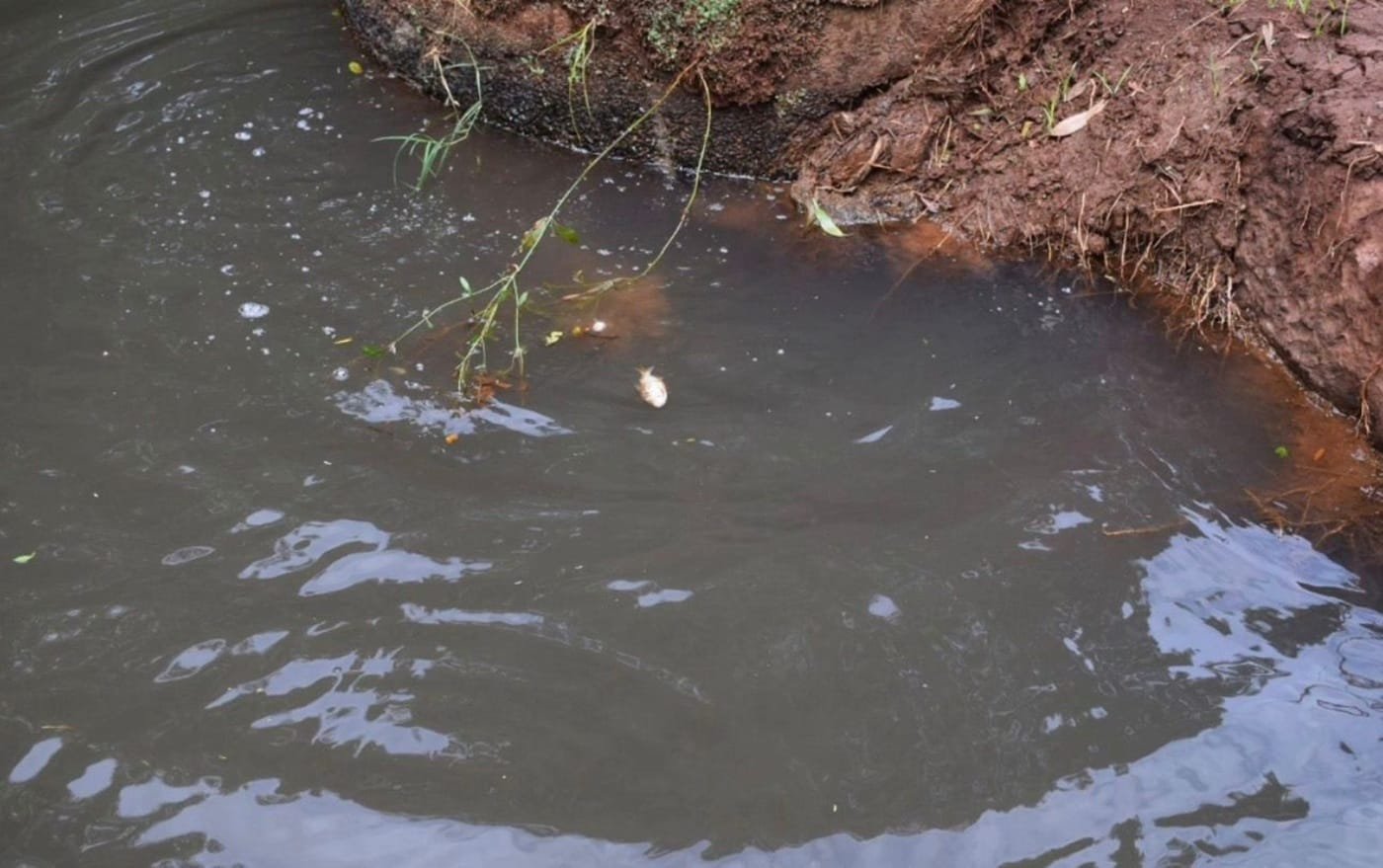 Brigada registra poluição em ponto de captação de água da  Corsan