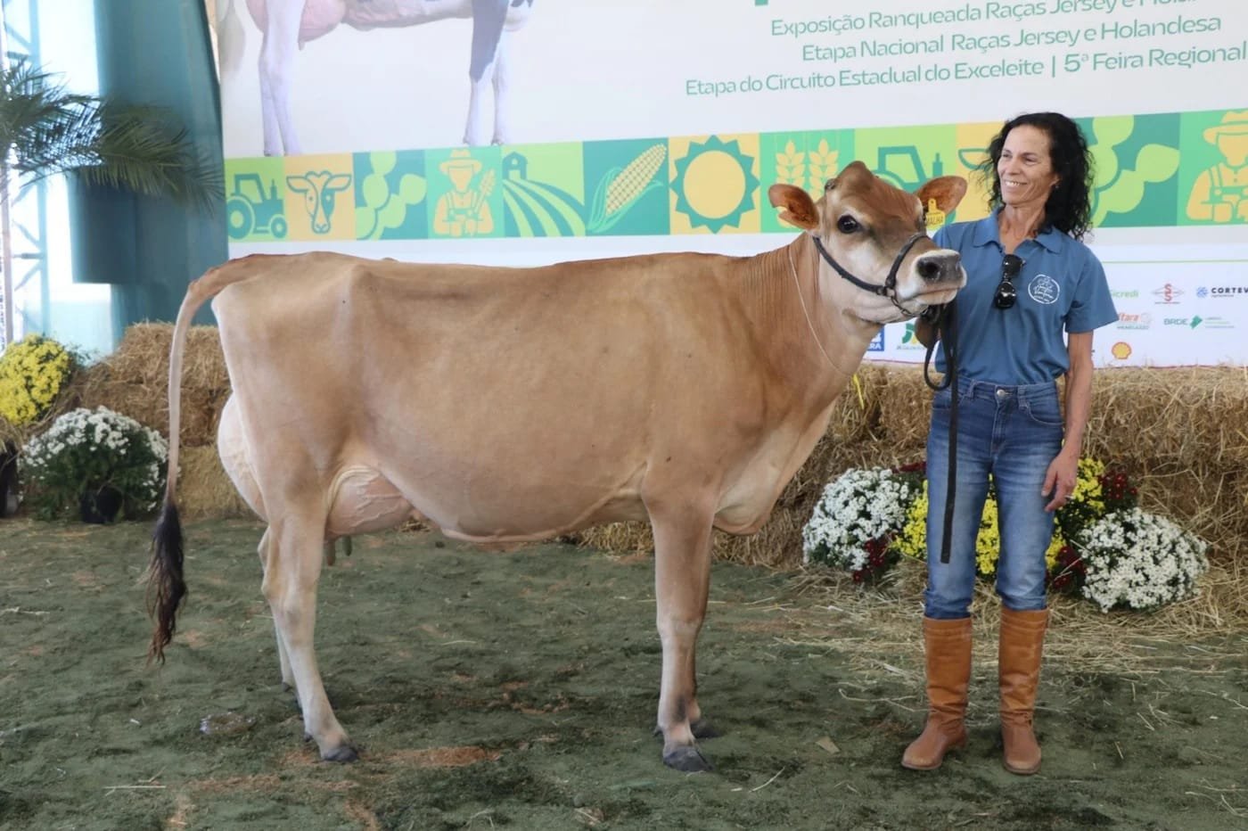 Vaca da Região Noroeste do RS quebra recorde nacional de produção de leite 3 Vaca da Região Noroeste do RS quebra recorde nacional de produção de leite