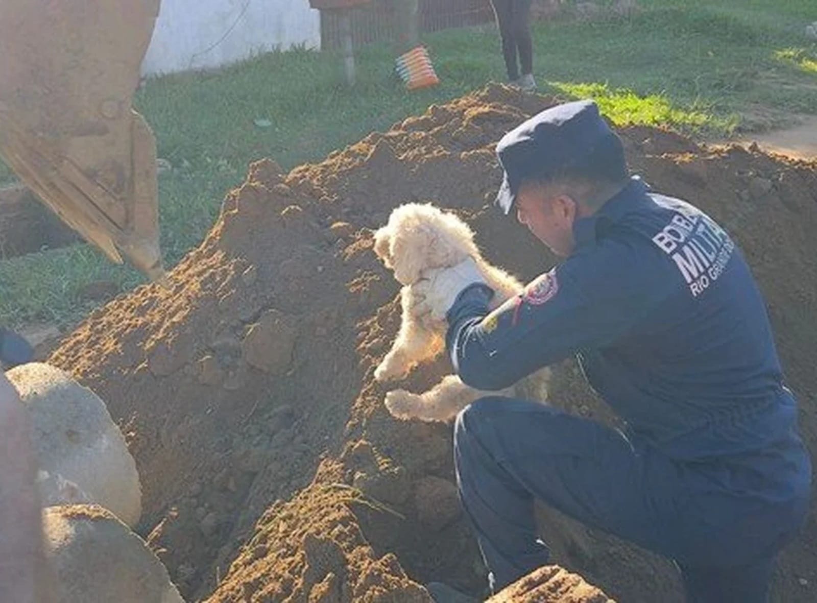 Bombeiros trabalham cerca de quatro horas para resgatar cachorro em Bagé
