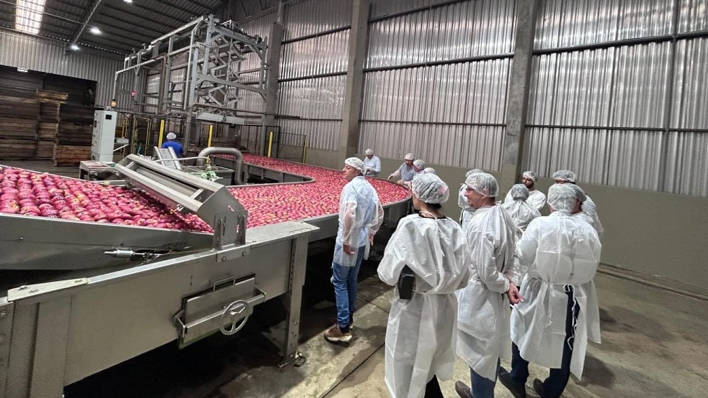 Equipe visita o RS para avaliar abertura de mercado cubano para a maçã 2 Equipe visita o RS para avaliar abertura de mercado cubano para a maçã