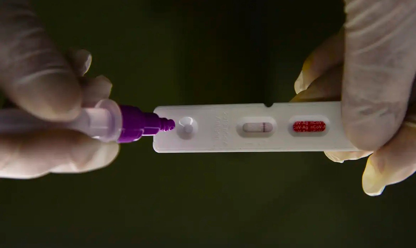 Ministério Público ajuíza ação por irregularidades em contratações de testes de Covid-19 em Osório 2 Ministério Público ajuíza ação por irregularidades em contratações de testes de Covid-19 em Osório