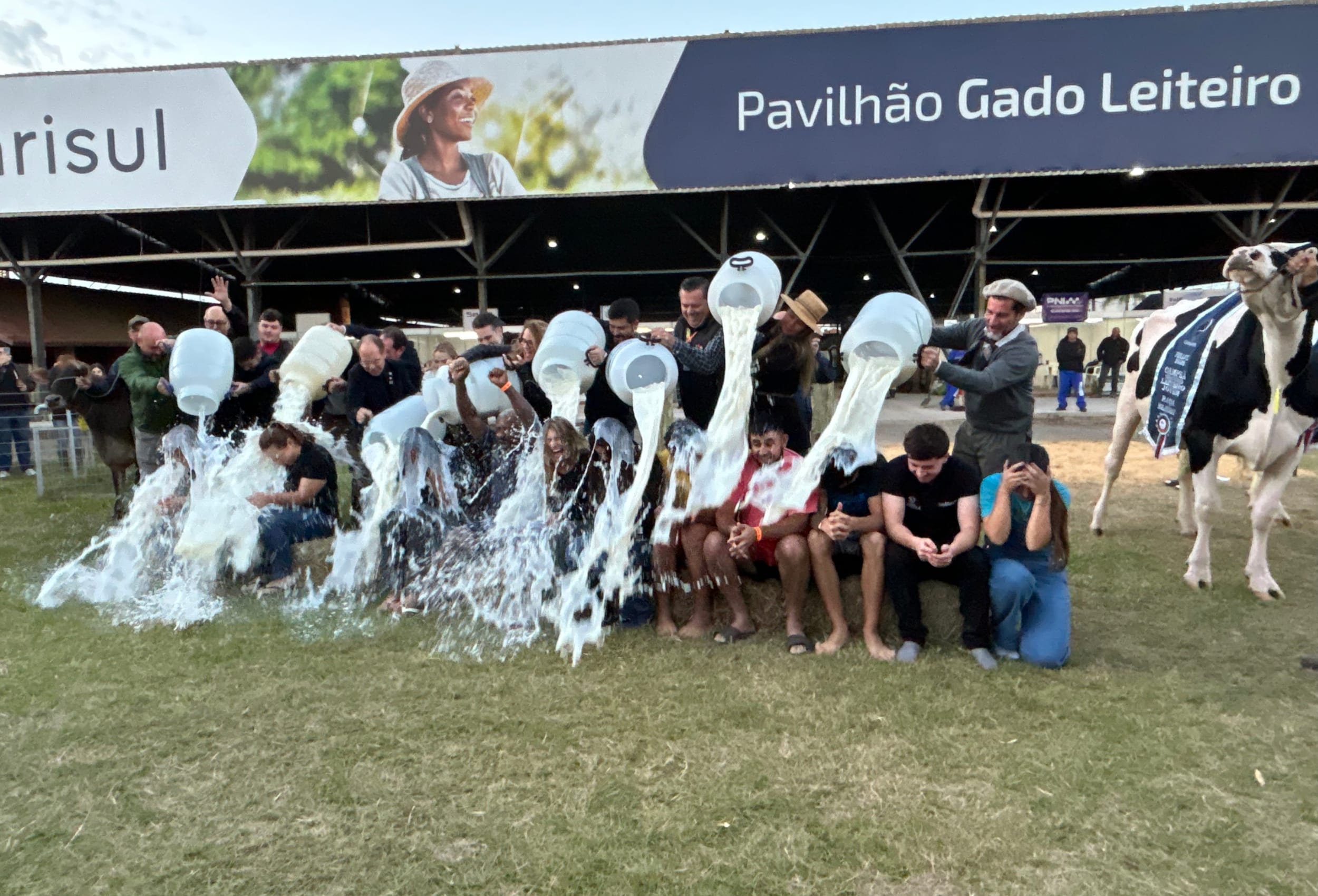 Concurso Leiteiro da raça Holandesa premia campeãs na Fenasul Expoleite