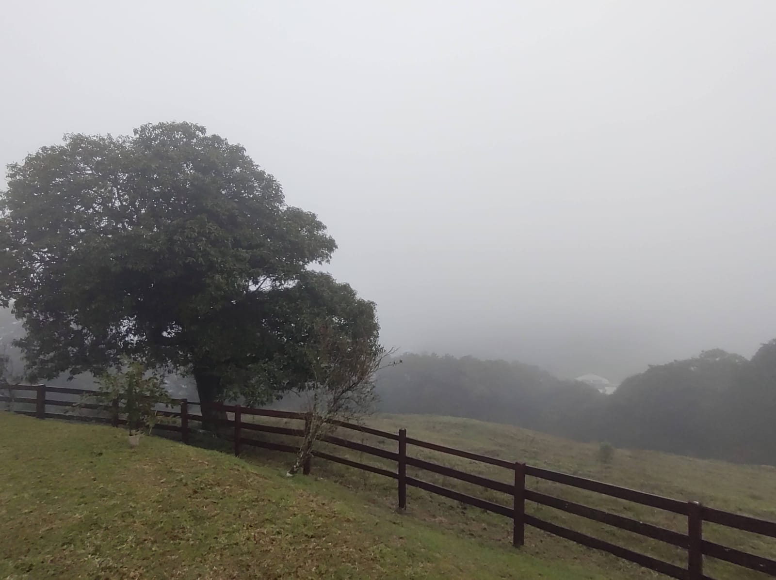 Previsão de umidade e chuva: Como fica o tempo no RS neste sábado 2 Previsão de umidade e chuva: Como fica o tempo no RS neste sábado