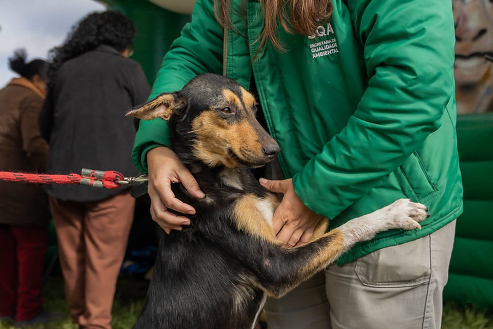 Prefeitura de Pelotas abre 200 vagas gratuitas para castração de cães e gatos 2 Prefeitura de Pelotas abre 200 vagas gratuitas para castração de cães e gatos