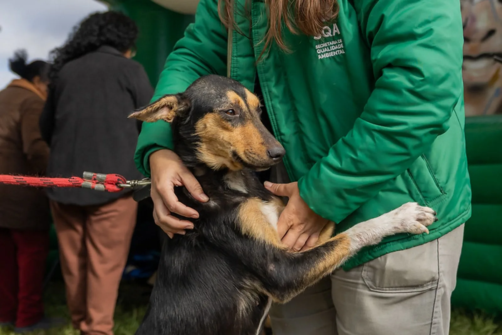 Como identificar e tratar doenças cardíacas em cães e gatos antes que seja tarde 7 Como identificar e tratar doenças cardíacas em cães e gatos antes que seja tarde