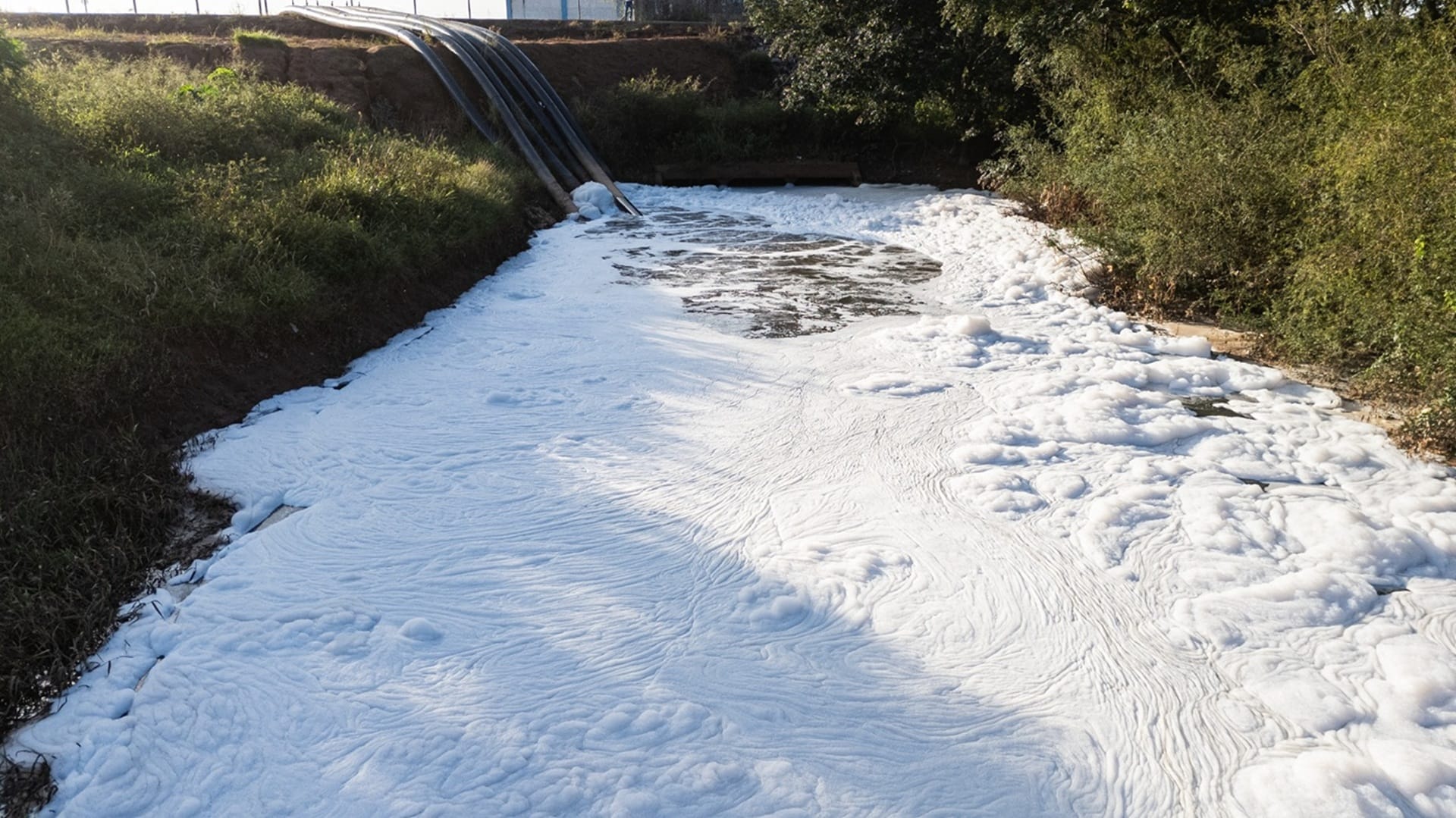 Espuma em córrego chama atenção em Novo Hamburgo