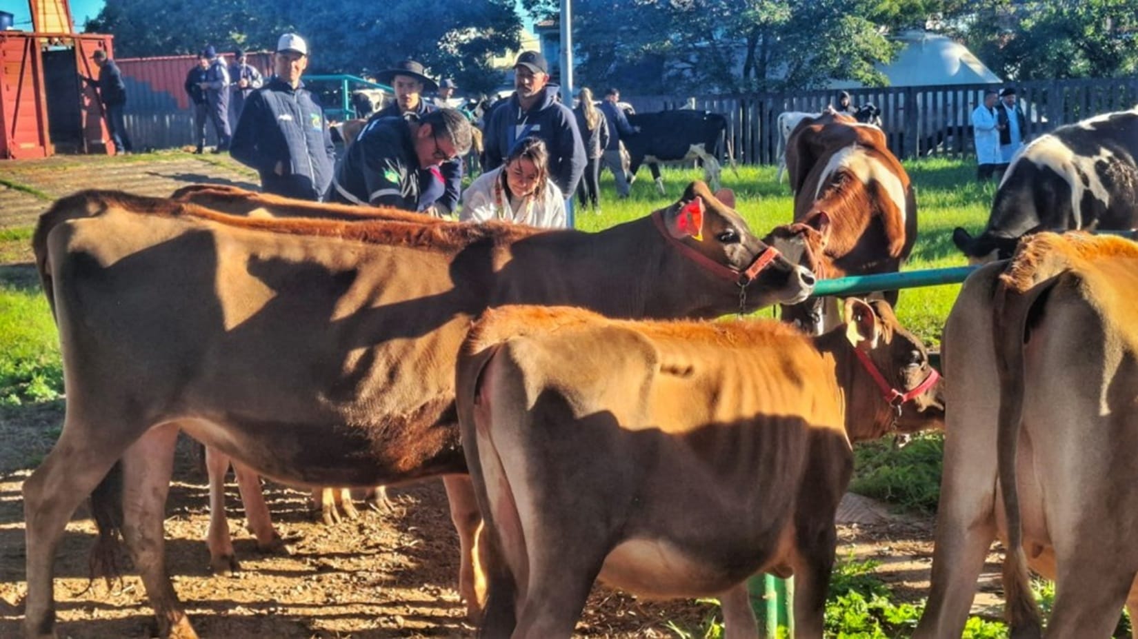 Fenasul Expoleite 2026 começa nesta quarta, com entrada gratuita
