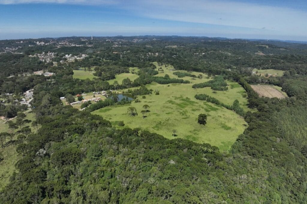 mata gramado