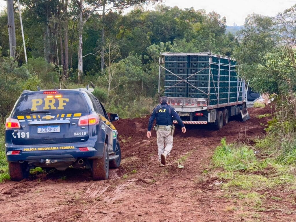 Quase 1 tonelada de droga é apreendida após perseguição em Passo Fundo 2 WhatsApp Image 2026 06 14 at 12.18.34