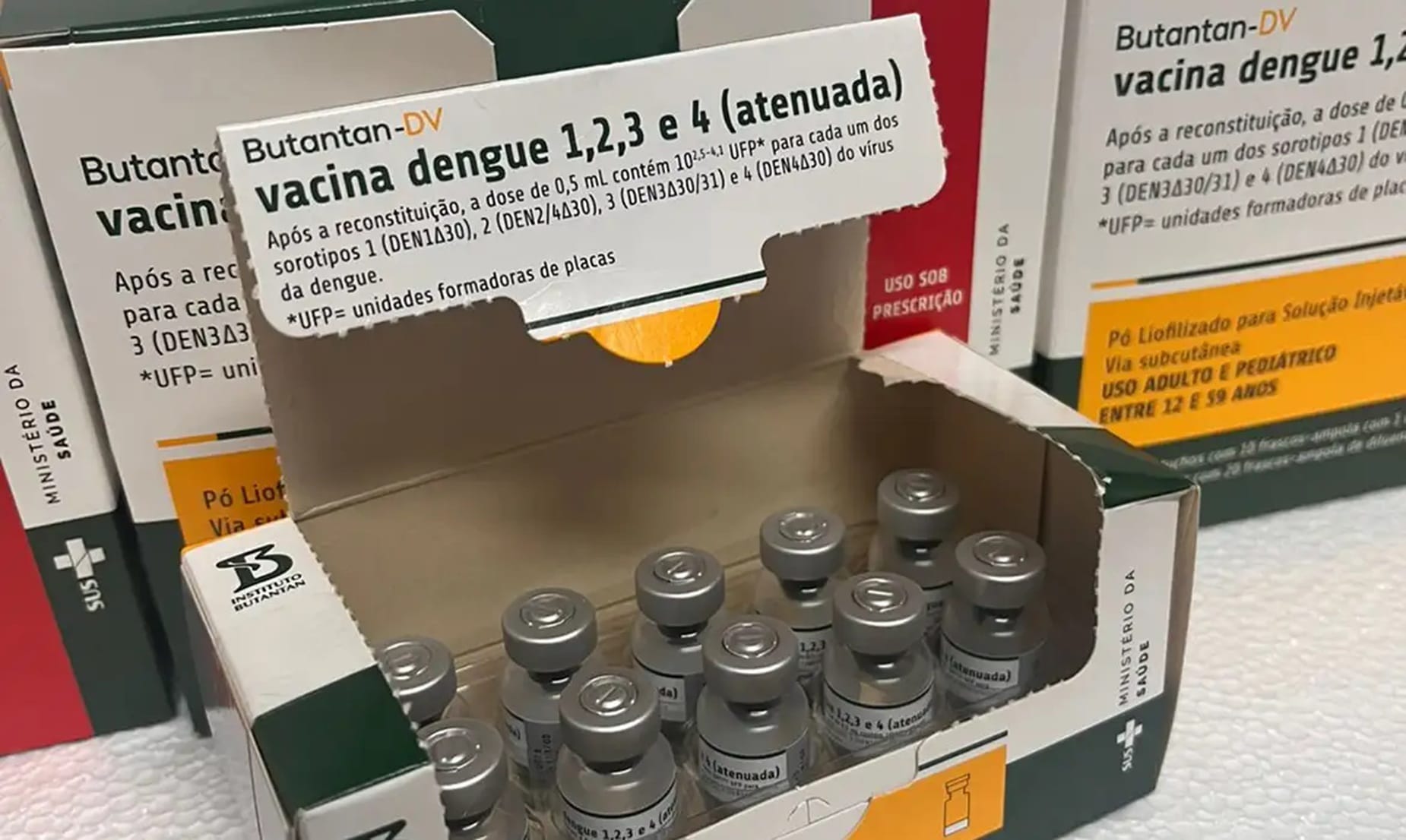 Ministério da Saúde suspende vacina da dengue do Butantan após relatos de reações; veja sintomas de alerta 1 vacina butatan