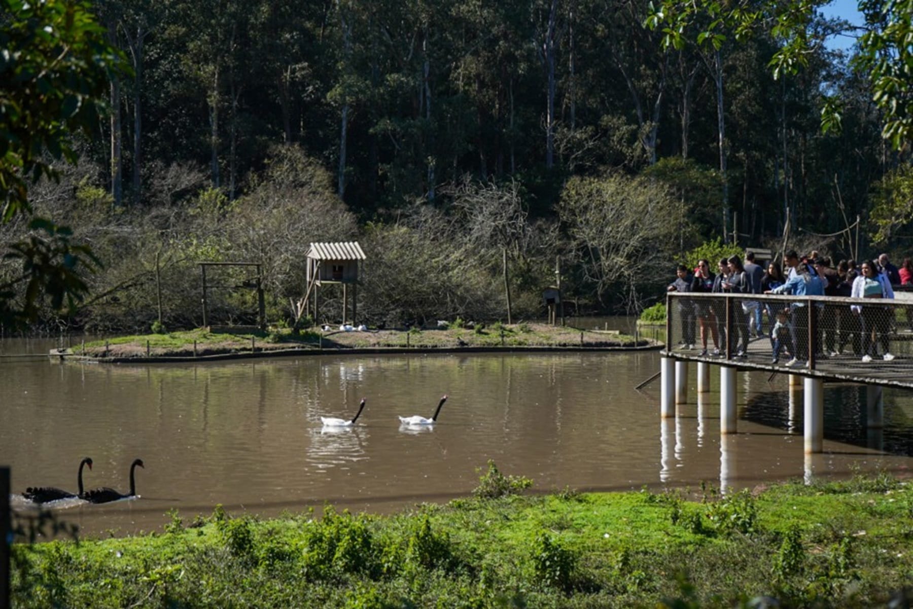 Governo do RS autoriza visitas ao zoológico de Sapucaia após fim de surto 2 Governo do RS autoriza visitas ao zoológico de Sapucaia após fim de surto