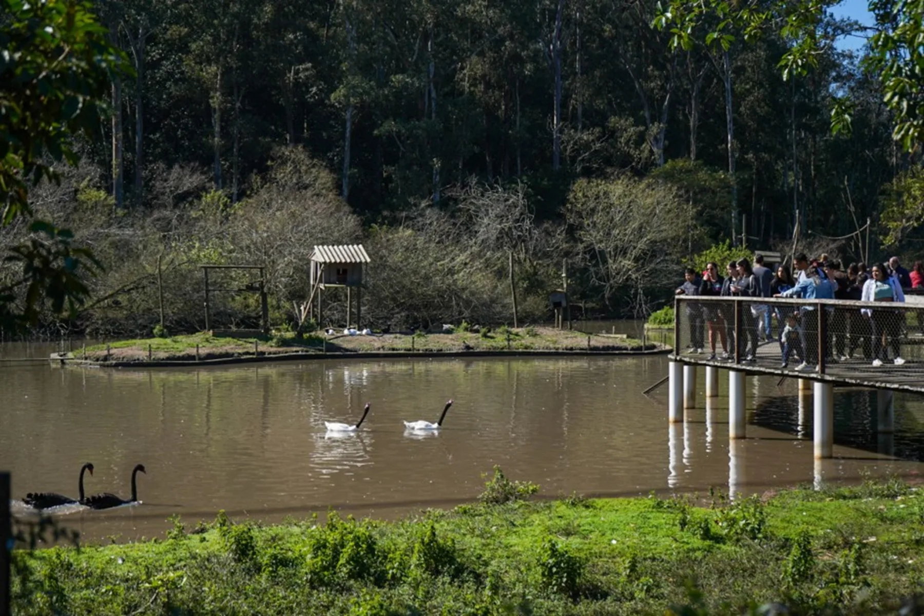 Parque Zoológico, em Sapucaia do Sul, abrirá para visitação no feriado