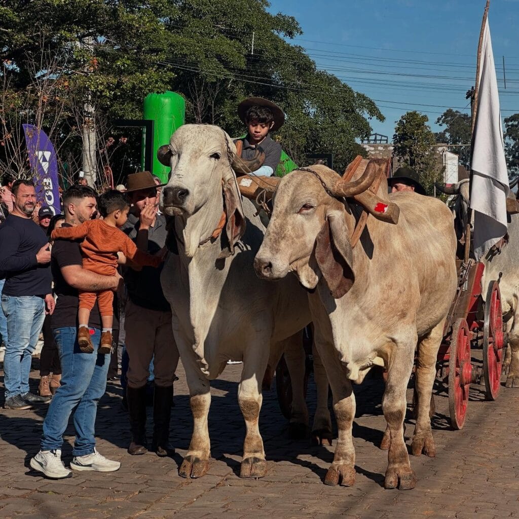 Café colonial, carros antigos e desfile: o roteiro completo para curtir em Morro Reuter 2 0607desfile18