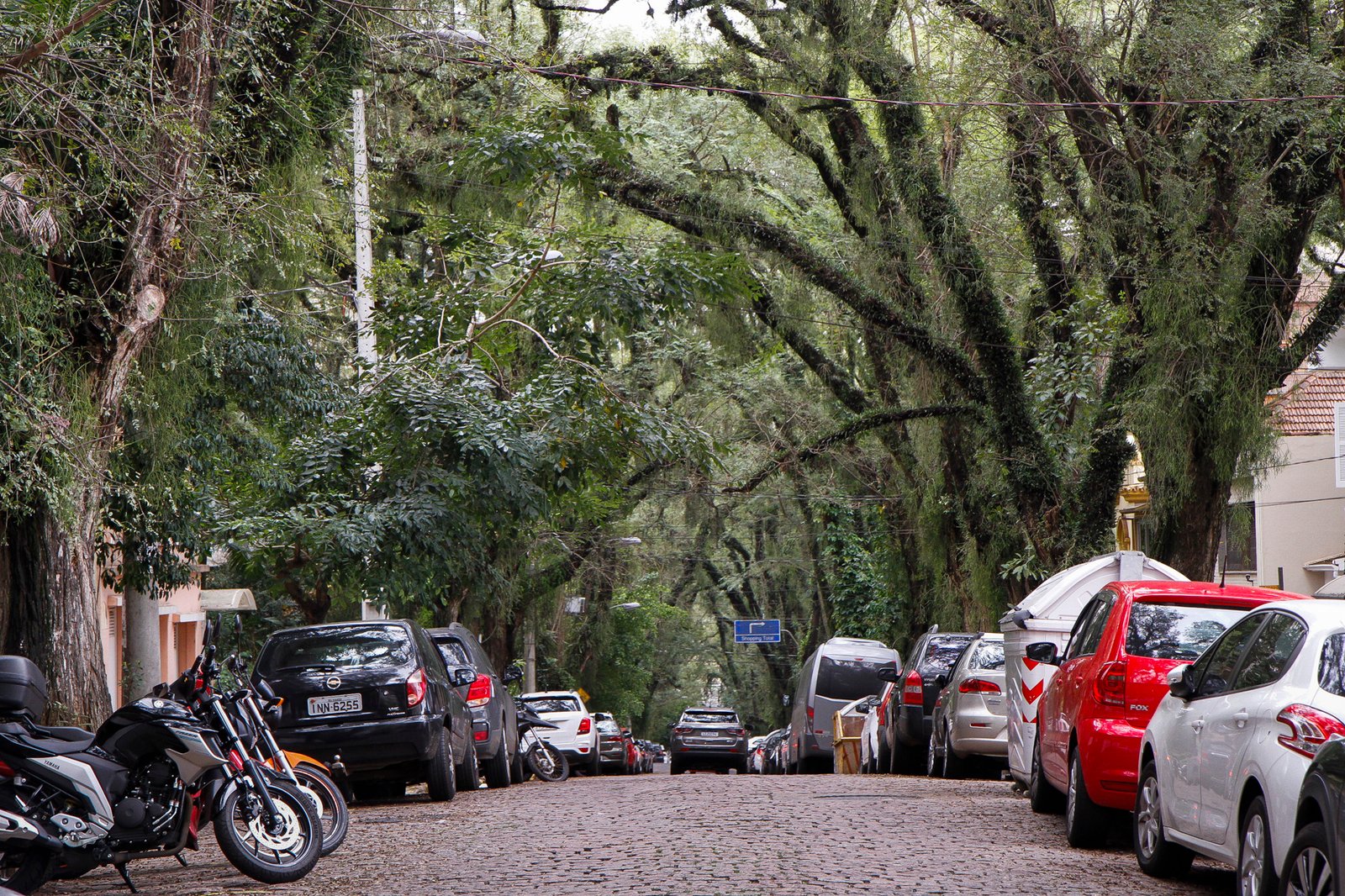 Carro atingido por galho em via pública: Prefeitura de Lajeado terá de indenizar proprietário