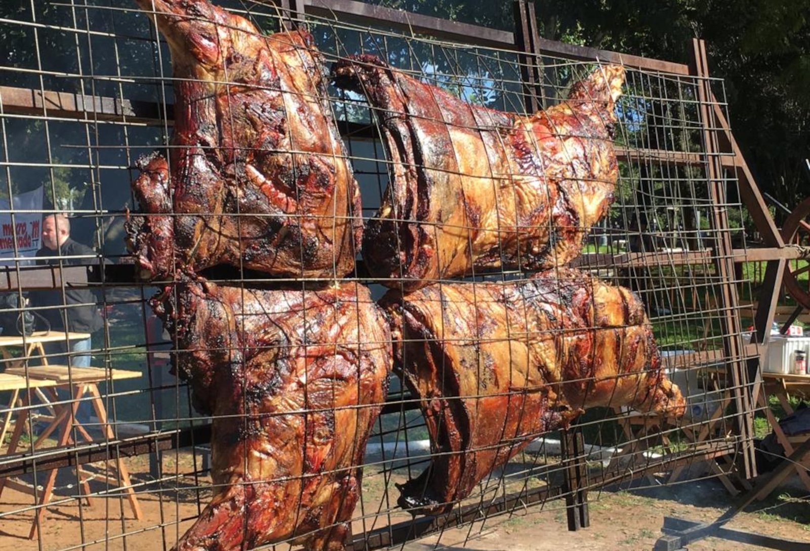 Porteiras Abertas da Ufrgs terá churrasco de carne de búfalo entre as atrações 2 Porteiras Abertas da Ufrgs terá churrasco de carne de búfalo entre as atrações