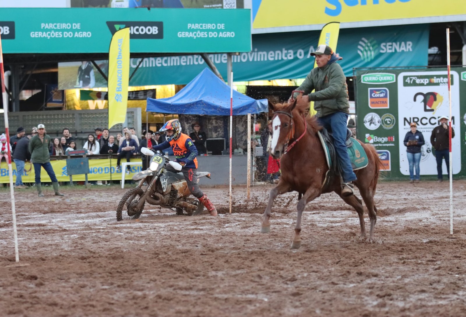 Participantes de provas do cavalo Mangalarga na Expointer disputam mais de R$ 100 mil em prêmios 2 Participantes de provas do cavalo Mangalarga na Expointer disputam mais de R$ 100 mil em prêmios