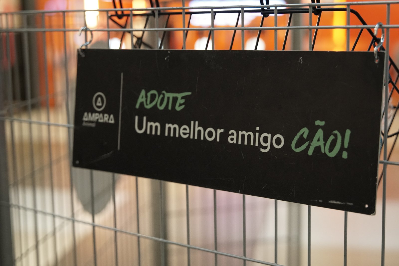 Projeto Anjos de Patas e hipermercado promovem ação especial de adoção responsável em Porto Alegre 2 Projeto Anjos de Patas e hipermercado promovem ação especial de adoção responsável em Porto Alegre