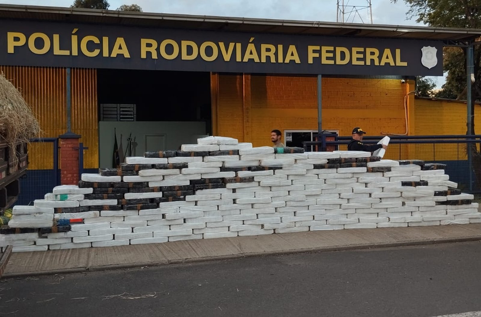 Cães farejadores descobrem 2,5 toneladas de maconha em carga de melancias em Lajeado 2 Cães farejadores descobrem 2,5 toneladas de maconha em carga de melancias em Lajeado