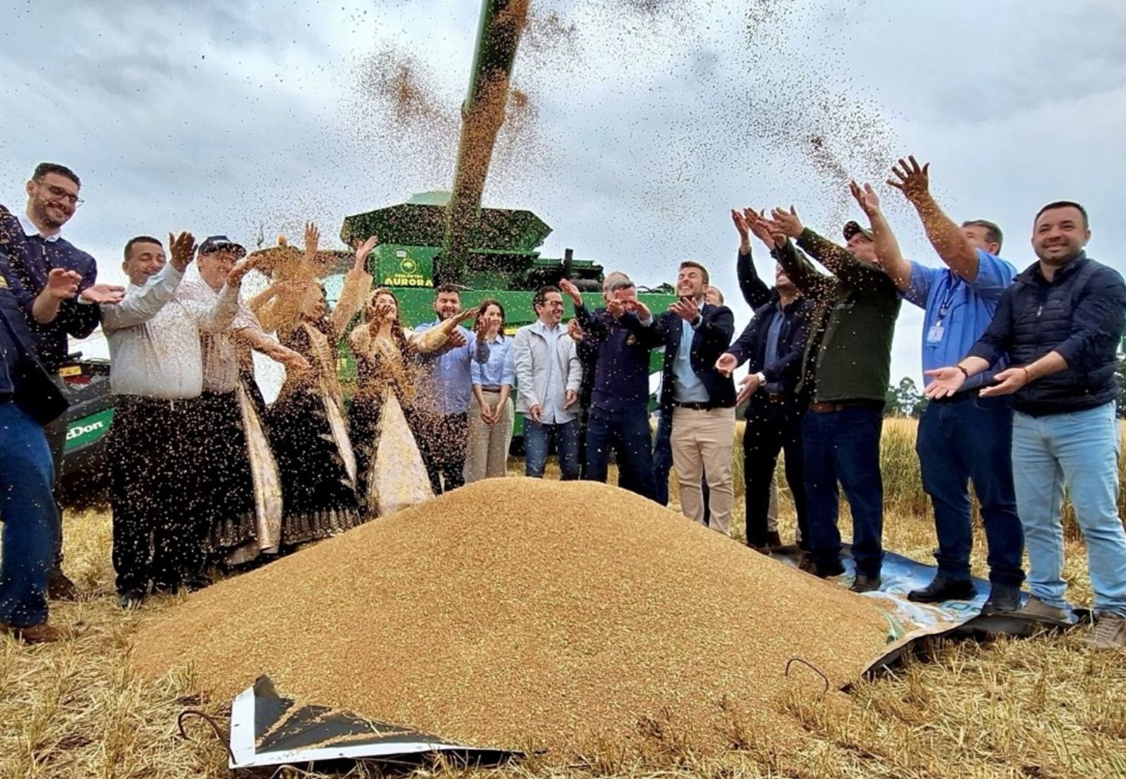 Cruz Alta abre a colheita do trigo no RS em cenário de desafios para os produtores